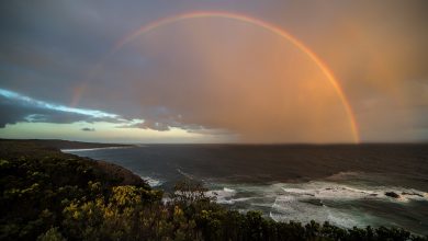 Photo of Australia’s Iconic Landmarks: Discovering the Beauty of Sydney Opera House, Great Barrier Reef, and more