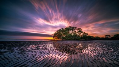 Photo of Exploring the Natural Wonders of Australia: A Guide to the Land Down Under